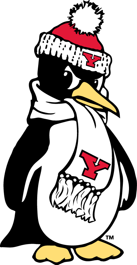 Youngstown State Penguins 1993-Pres Alternate Logo 03 vinyl decal